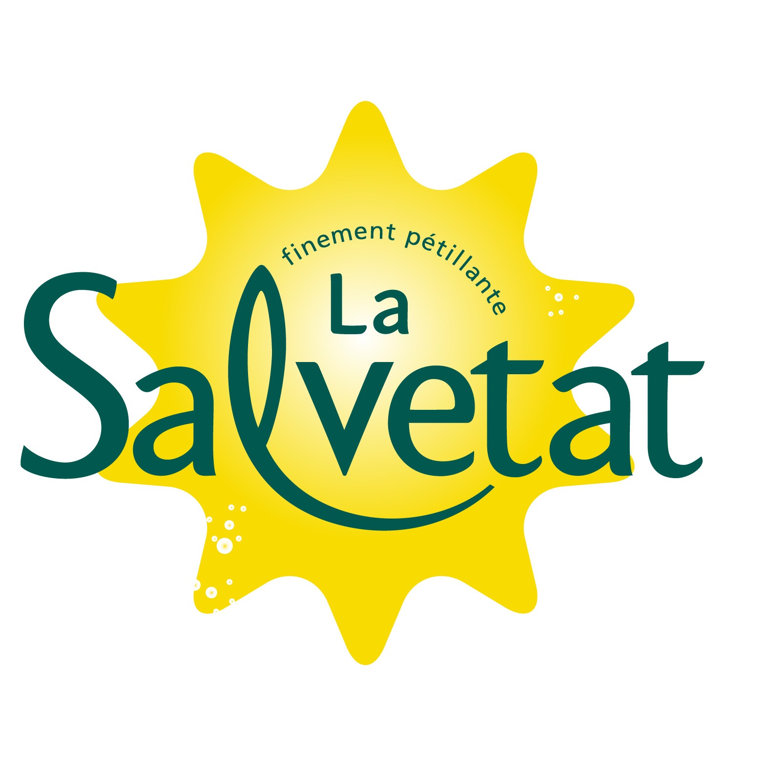 La-Salvetat-Silver